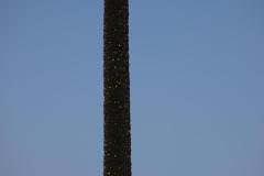 IMG_6754