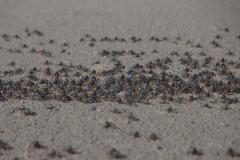 IMG_6862