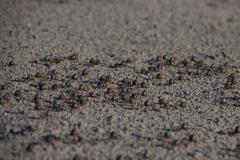 IMG_6869