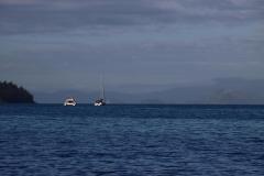 IMG_7331