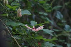 IMG_7363