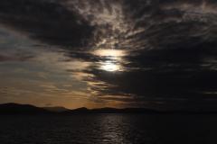 IMG_7984