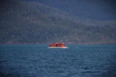 IMG_8181