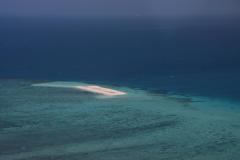 IMG_8387