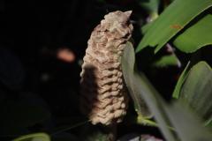 IMG_8426