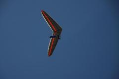 IMG_8492