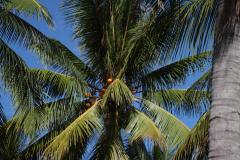 IMG_8539
