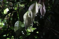 IMG_8696