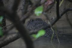 IMG_8834