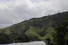 IMG_8726