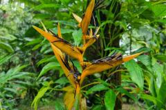 20220623_093447