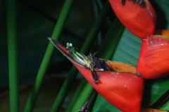 IMG_9025