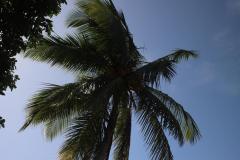 IMG_9076