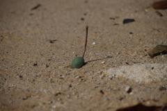 IMG_9185