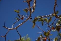 IMG_9190