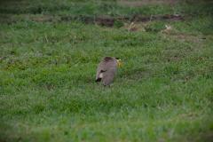 IMG_9205