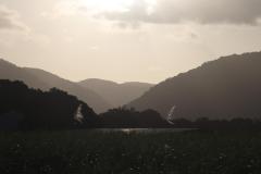 IMG_9514