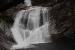 IMG_9537