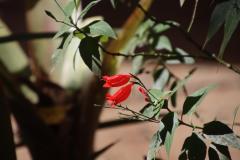 IMG_9607