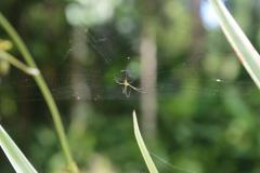 IMG_9789