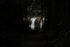 IMG_9806