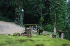 IMG_9811