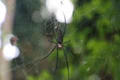 IMG_9885