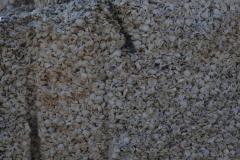 DSCN2777