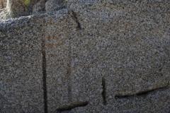 DSCN2780