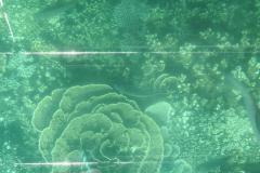 DSCN2868