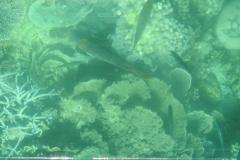 DSCN2874