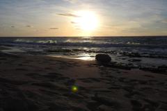 DSCN3094