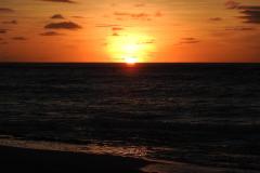 DSCN3157