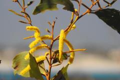 DSCN3537