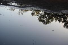 DSCN3674