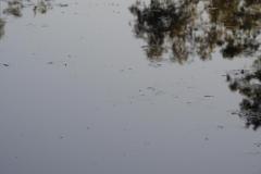 DSCN3675