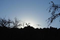DSCN3740