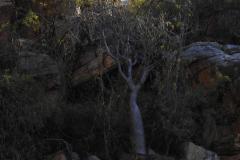 DSCN4085