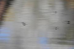 DSCN4318