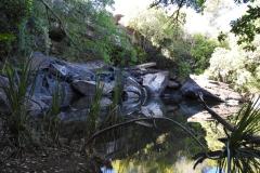 DSCN4626