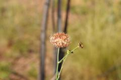 DSCN4630