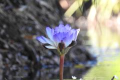 DSCN4642