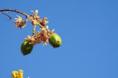 DSCN4657
