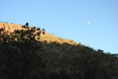 DSCN5118
