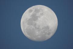 DSCN5298