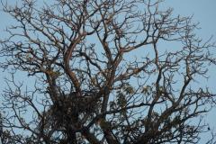 DSCN5513
