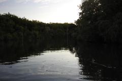 DSCN5536