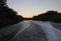 DSCN5538