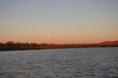 DSCN5542