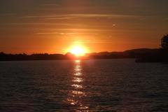DSCN5546